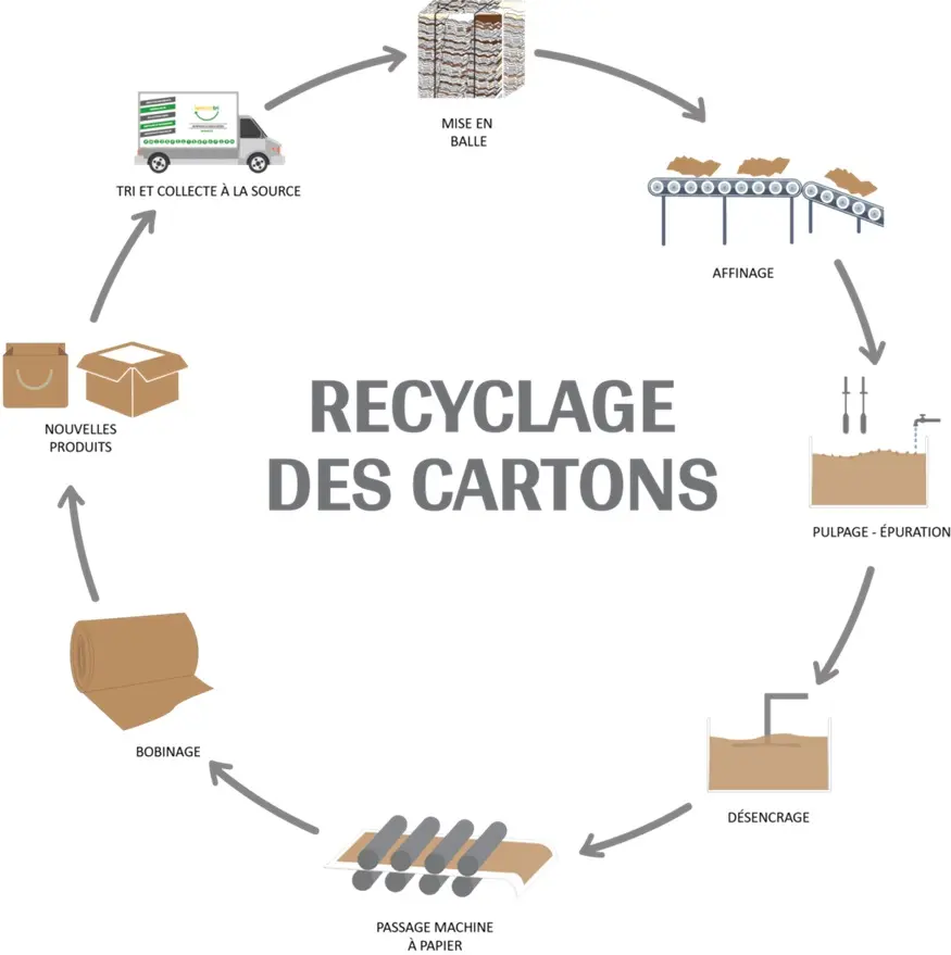 Processus de recyclage des cartons Processus de recyclage du carton en France